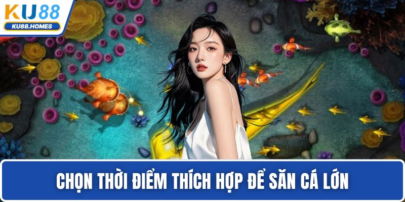 Bắn cá BBIN Chọn thời điểm thích hợp để săn cá lớn