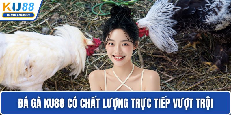 Đá gà KU88 có chất lượng trực tiếp vượt trội