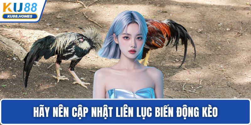 Hãy nên cập nhật liên lục biến động kèo