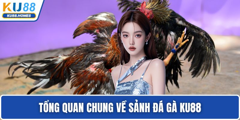 Tổng quan chung về sảnh đá gà KU88